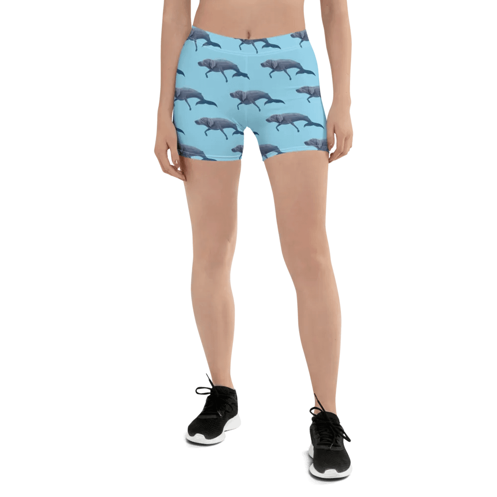 Whalemeriner Shorts product image (1)