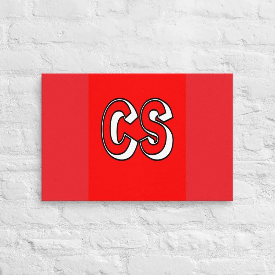 CS 16x24 Wall Art product image (2)