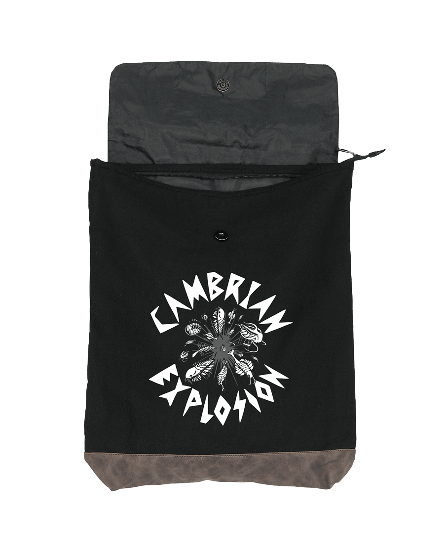 Explosion Canvas RuckSack product image (2)