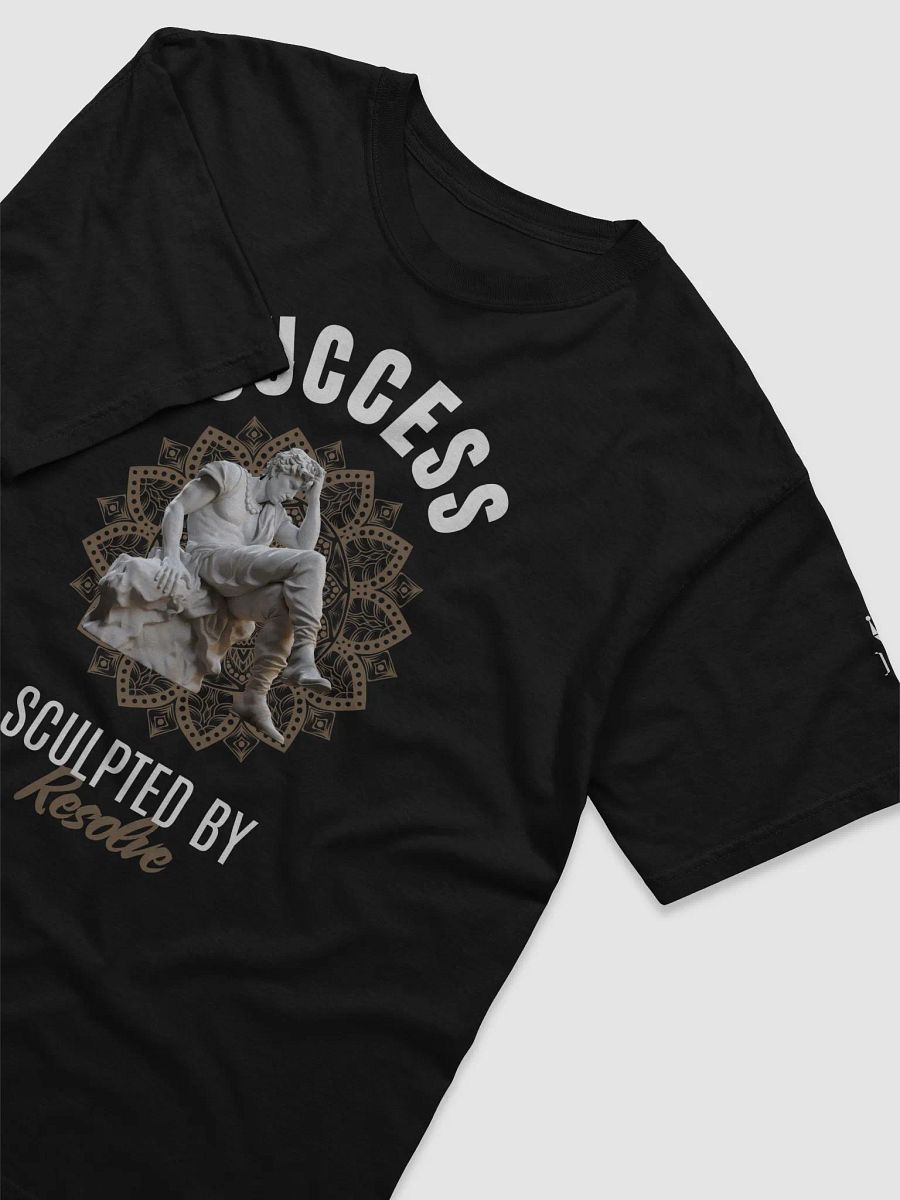 Success Sculpted by Resolve product image (11)