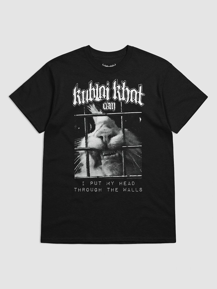 KUBLAI KHAT THROUGH WALLS product image (1)