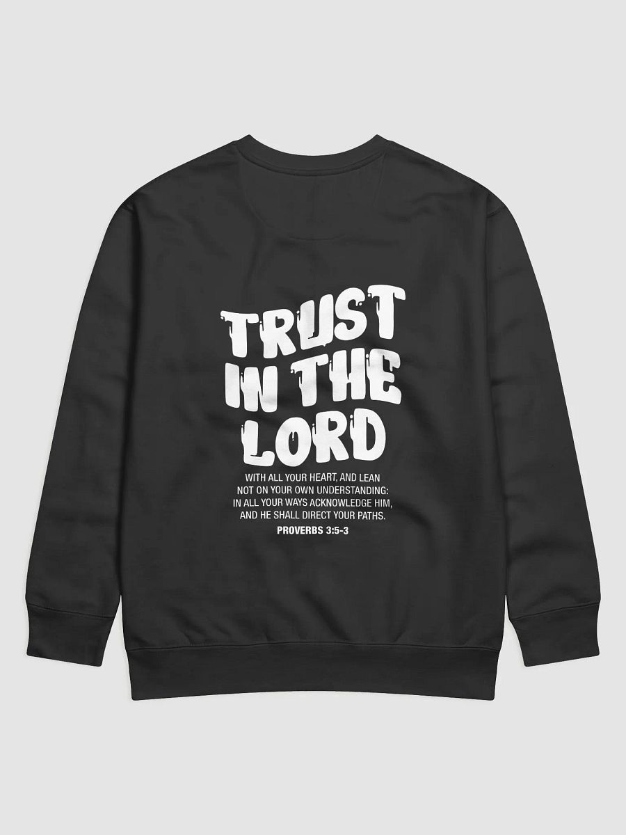 Night Lead Cotton Sweatshirt product image (10)