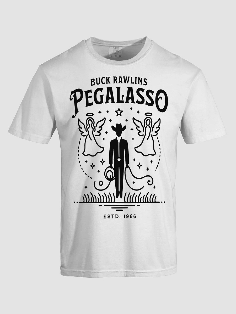 Pegalaso T-Shirt product image (5)