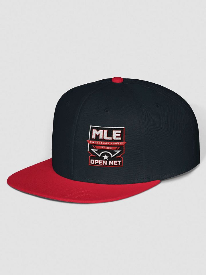 Open Net Snapback product image (2)