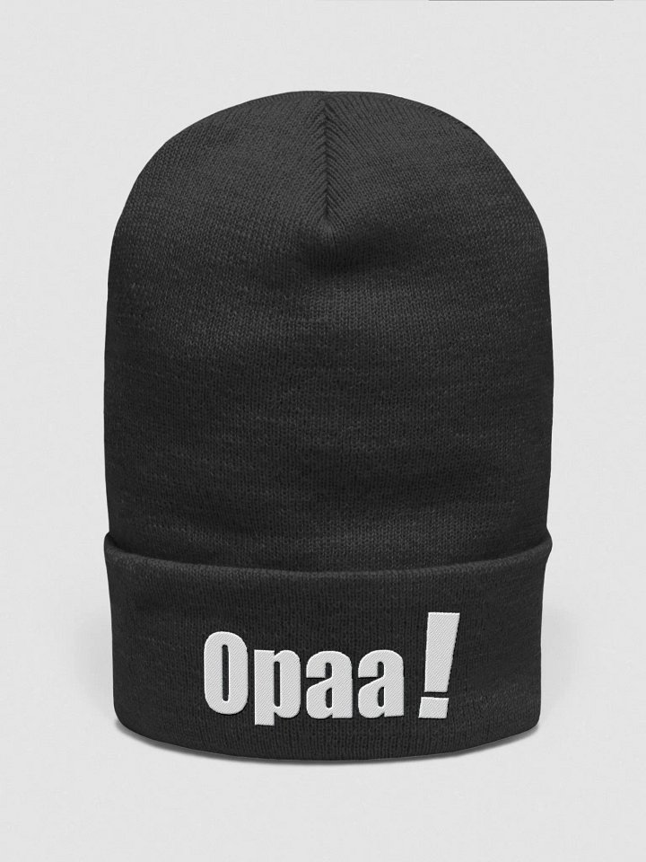 Hat product image (1)