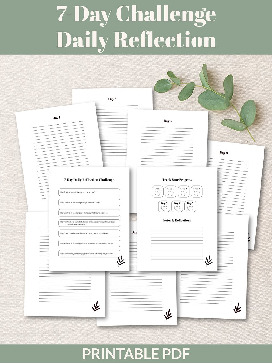 7-Day Daily Reflection Challenge Printable product image (1)