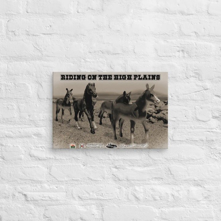 RIDING ON THE HIGH PLAINS product image (2)