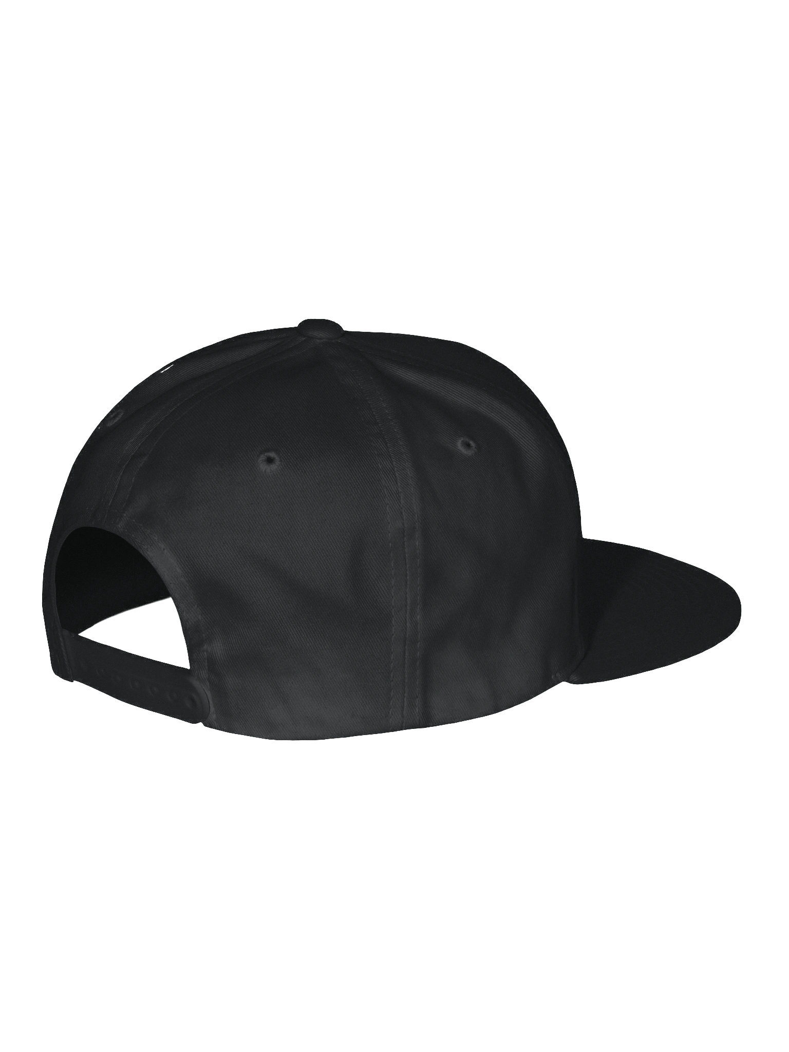 One City Snapback product image (15)