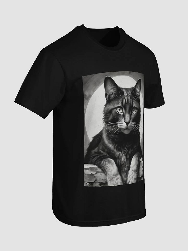 Cat product image (10)