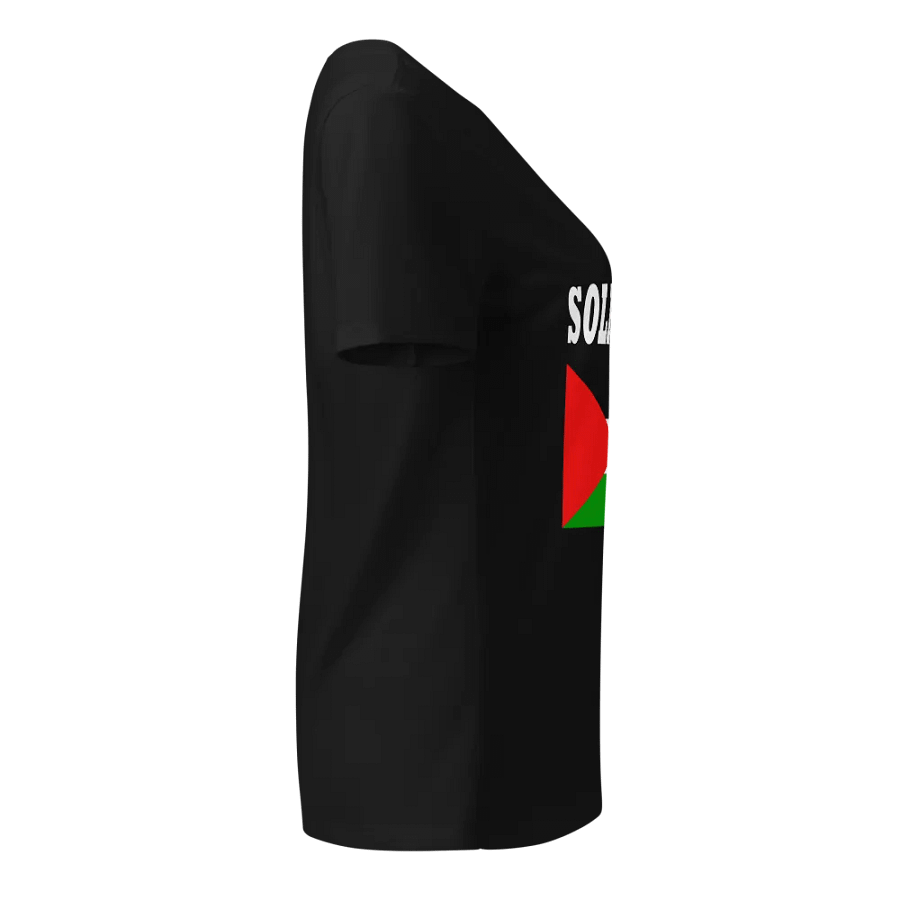 Solidarity Flag Fitted V-Neck T-Shirt product image (3)