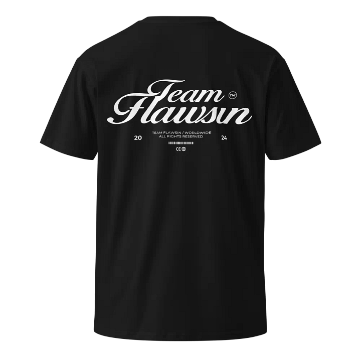 TF AS Colour Unisex Premium T-Shirt product image (2)