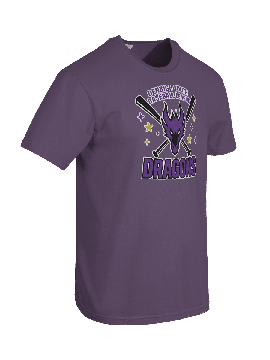 Dragons - Heavyweight T-shirt product image (79)