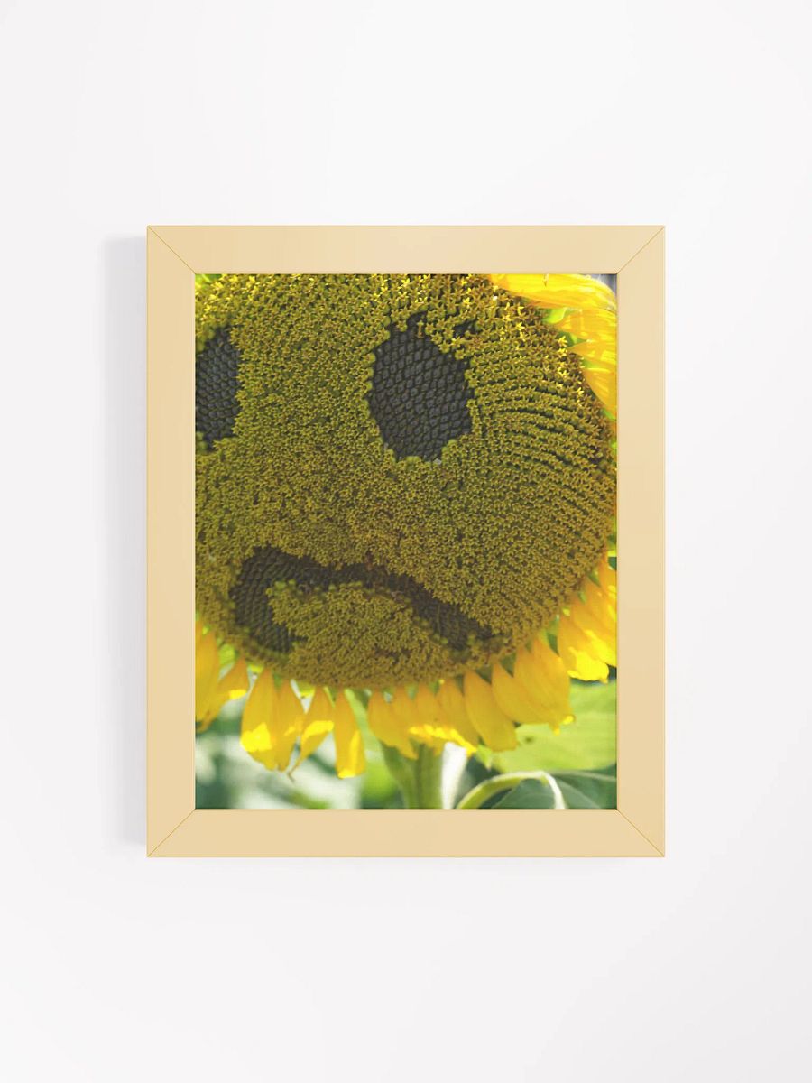 Framed Sunflower product image (4)