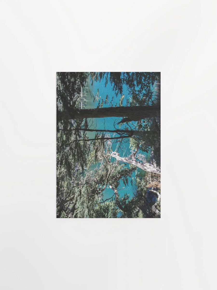 Lago Espejo Patagonia - Enhanced Matte Paper Poster product image (2)