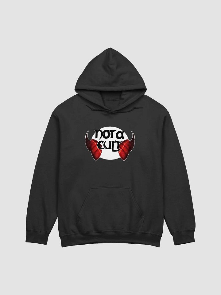 Not a Cult Hoodie product image (1)