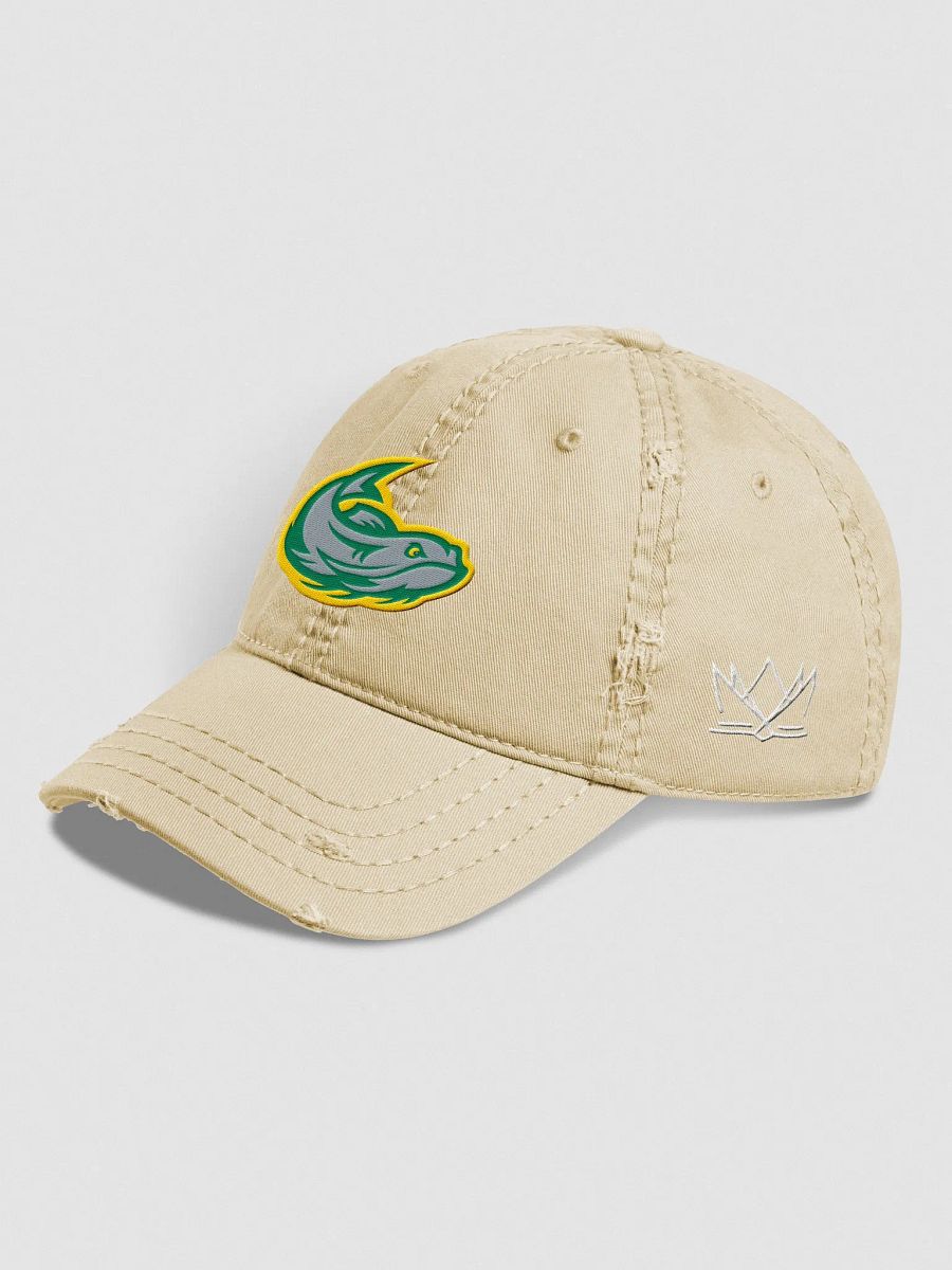 Mississippi Mudcats Distressed Dad Hat product image (22)