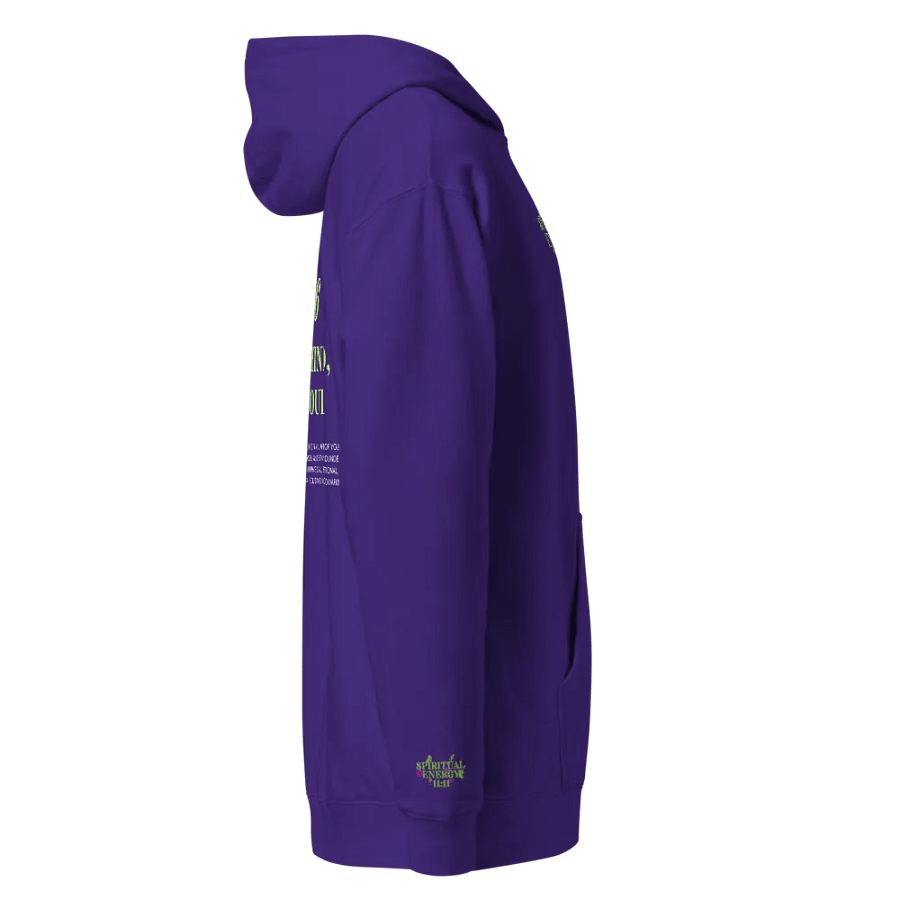 6666 Balance Mind, Body & Soul Unisex Hoodie – Nurture Inner Harmony product image (3)
