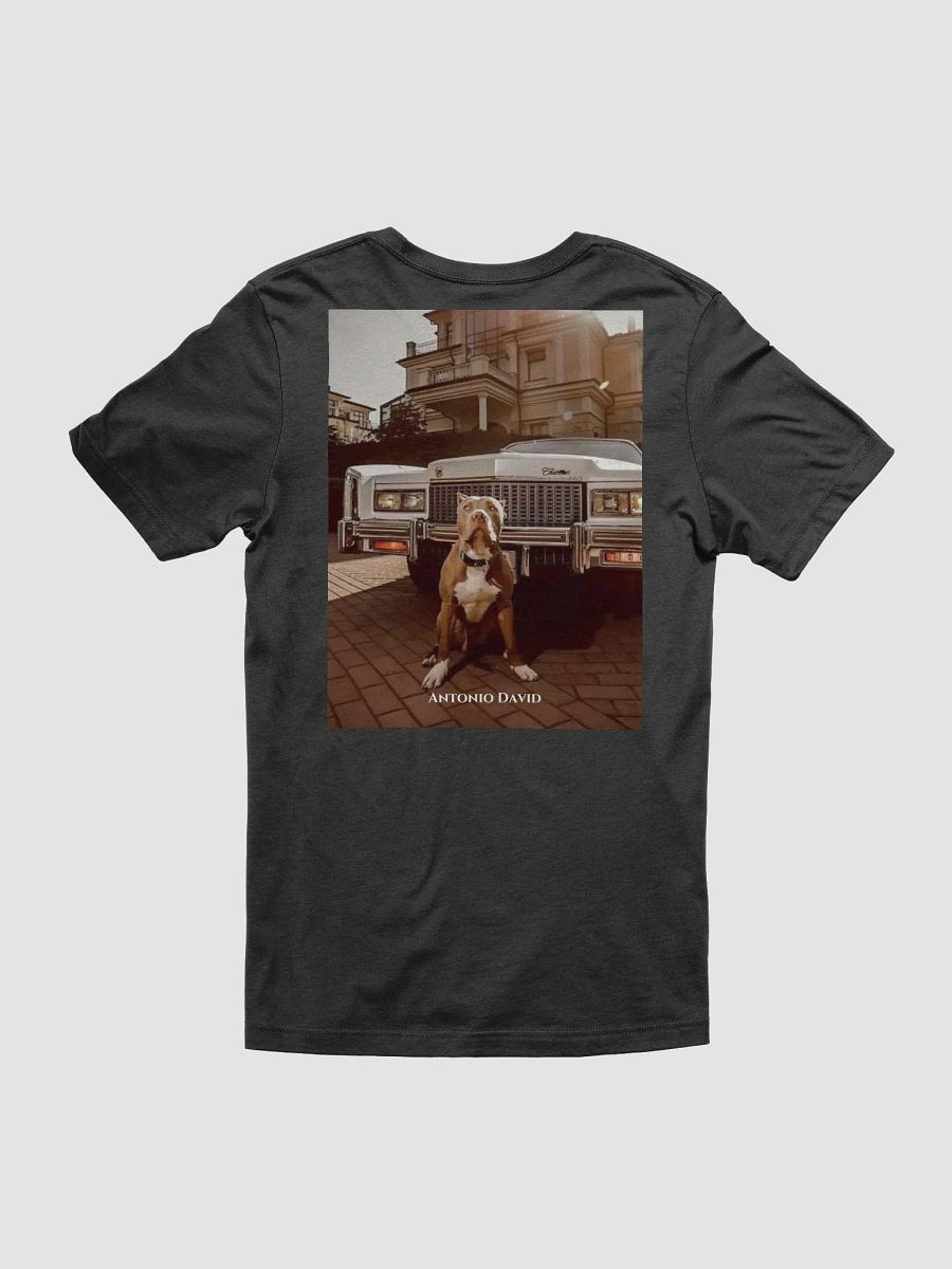 Staford T-Shirt product image (3)