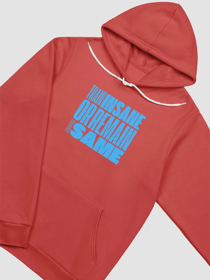 TRAIN INSANE OR REMAIN THE SAME HOODIE product image (2)