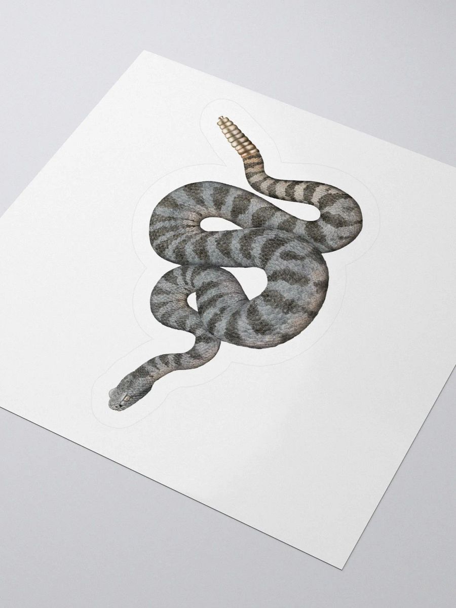 Die-Cut Sticker – Tiger Rattlesnake product image (3)