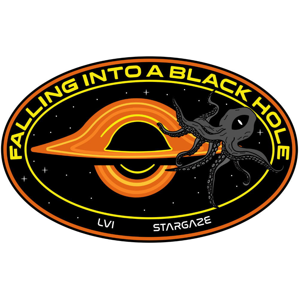 MAGNET: FALLING INTO A BLACK HOLE product image (3)