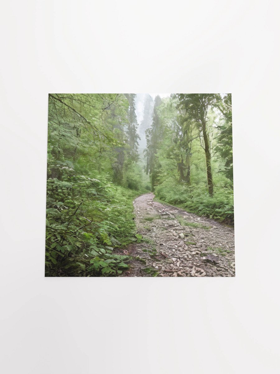 Enchanted Forest Path Poster product image (17)