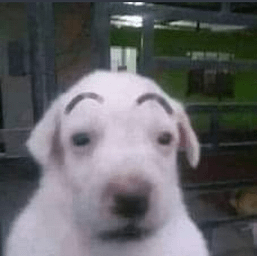 alfred.png