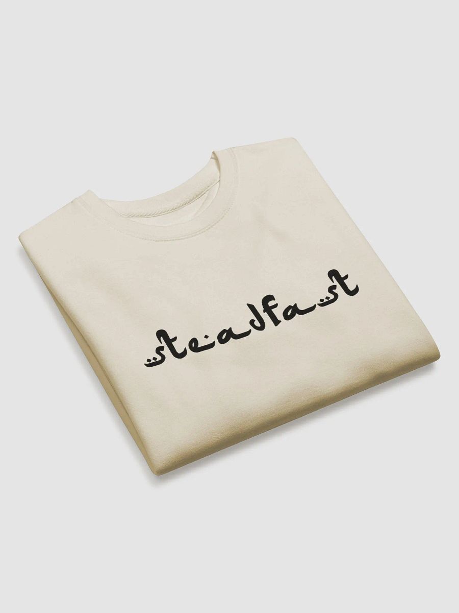 SteadFast in Faith product image (2)