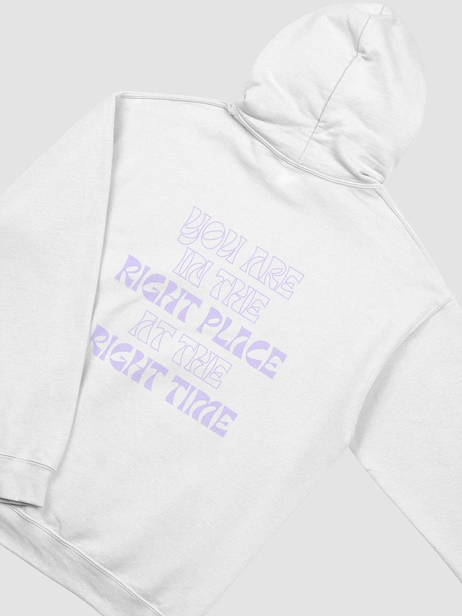222 hoodie product image (7)