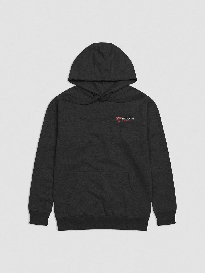 Reclaim The Net Logo Embroidered Hoodie product image (1)