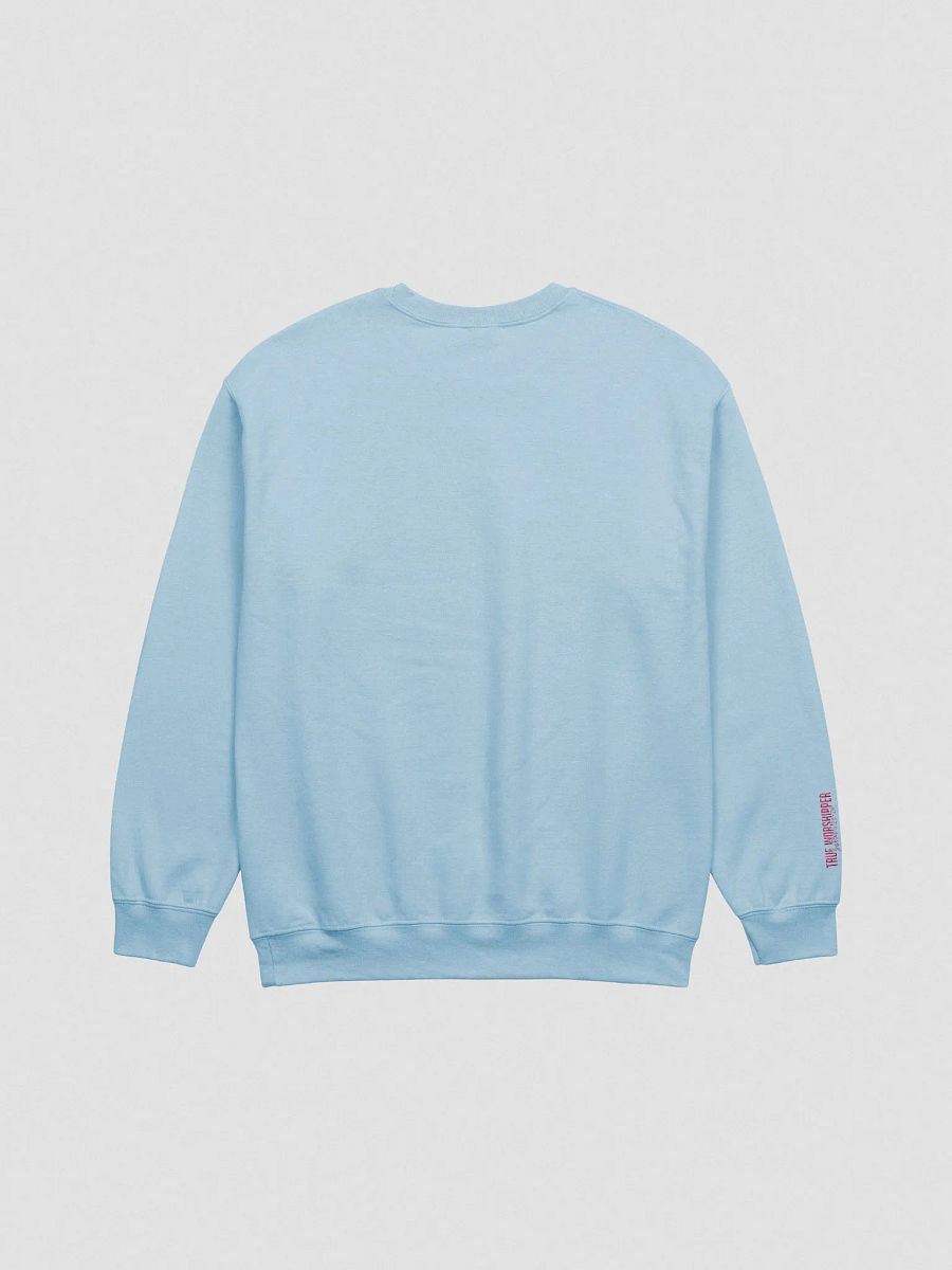 The Clapping Worshipper Embroidered Sweatshirt | Light Colors product image (5)
