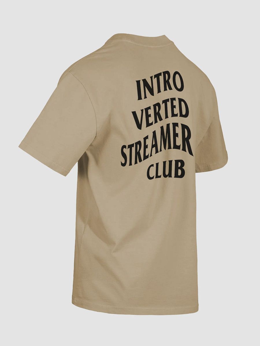 Introverted Streamer Club Oversized Tee product image (22)