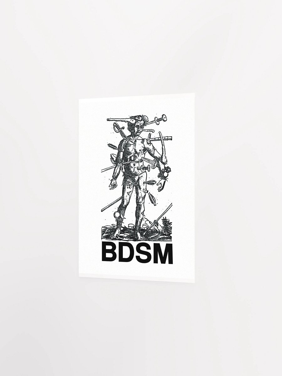 BDSM - Poster product image (12)