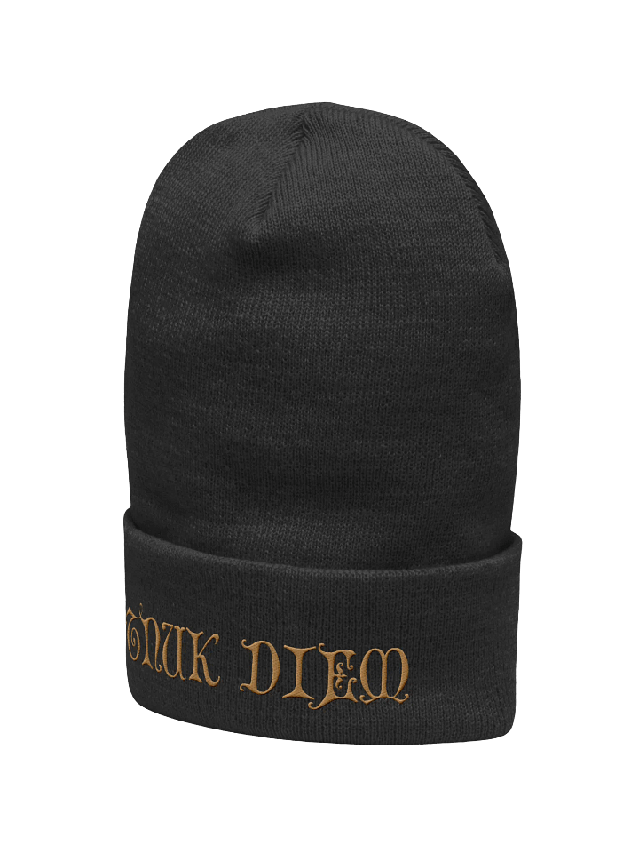 TNUK DIEM - CUFFED BEANIE product image (2)