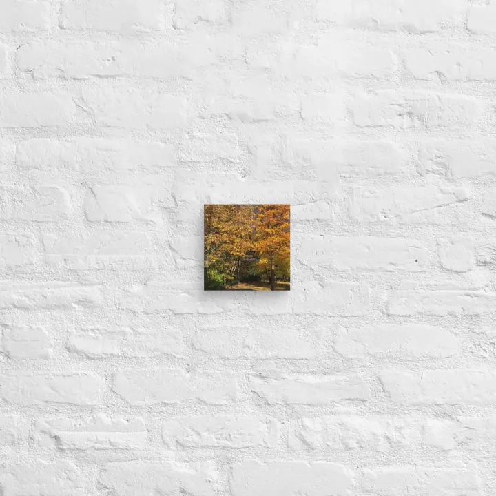 Fall Leaves Canvas product image (2)