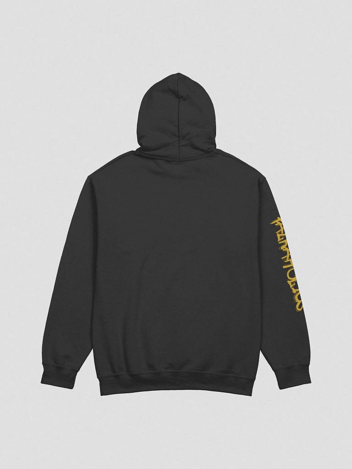 T4P Hoodie Black/Goldenrod (Gildan Classic) product image (2)