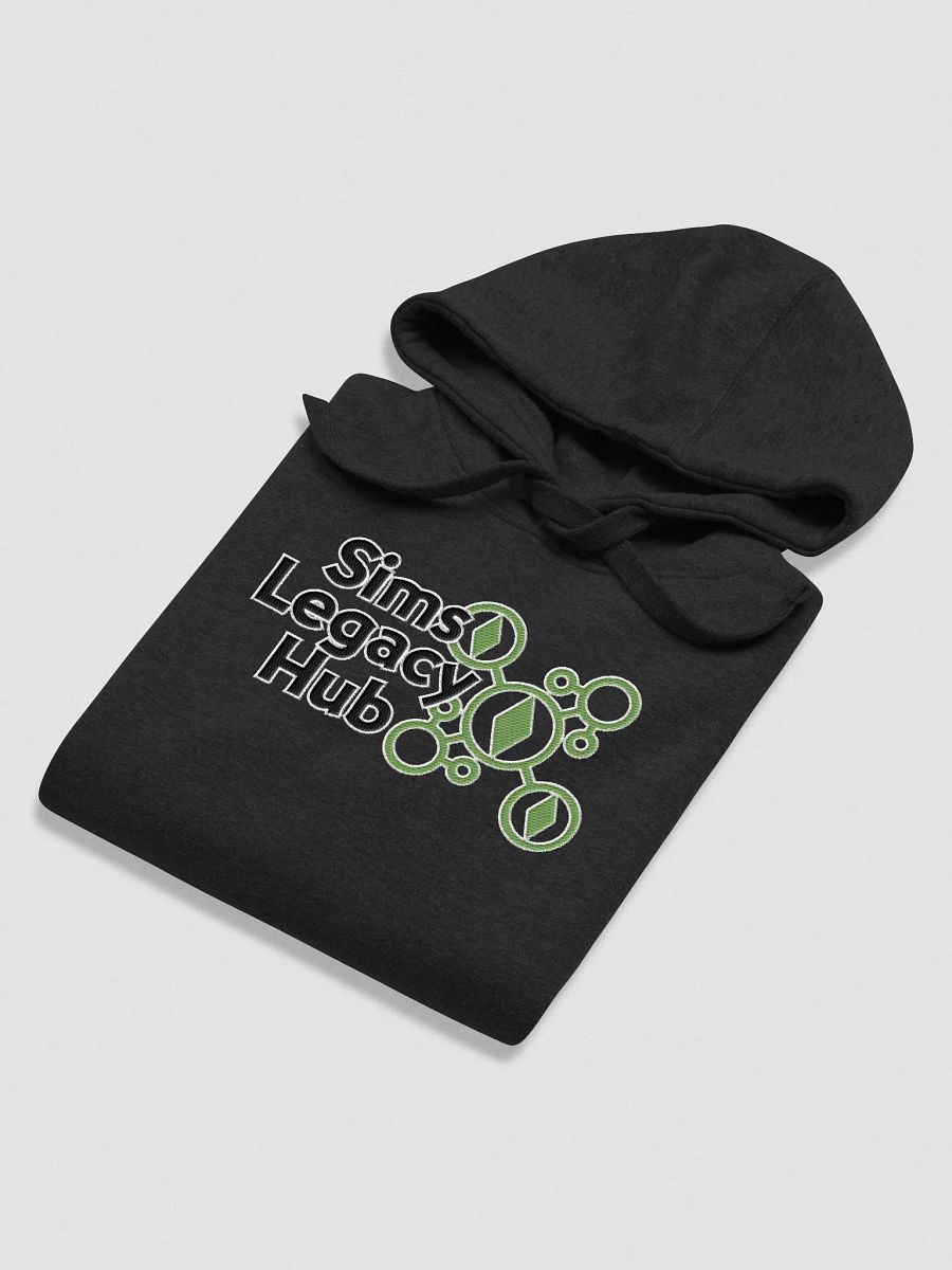 Embroidered Hoodie product image (42)