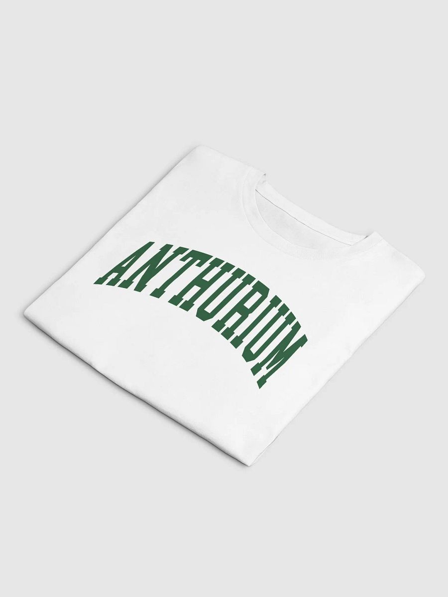 ANTHURIUM varsity crop top product image (12)