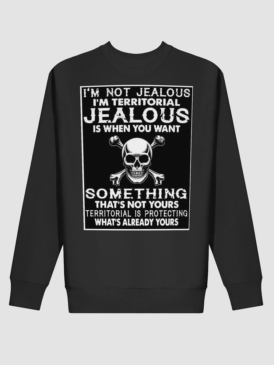im not jealous pullover product image (2)