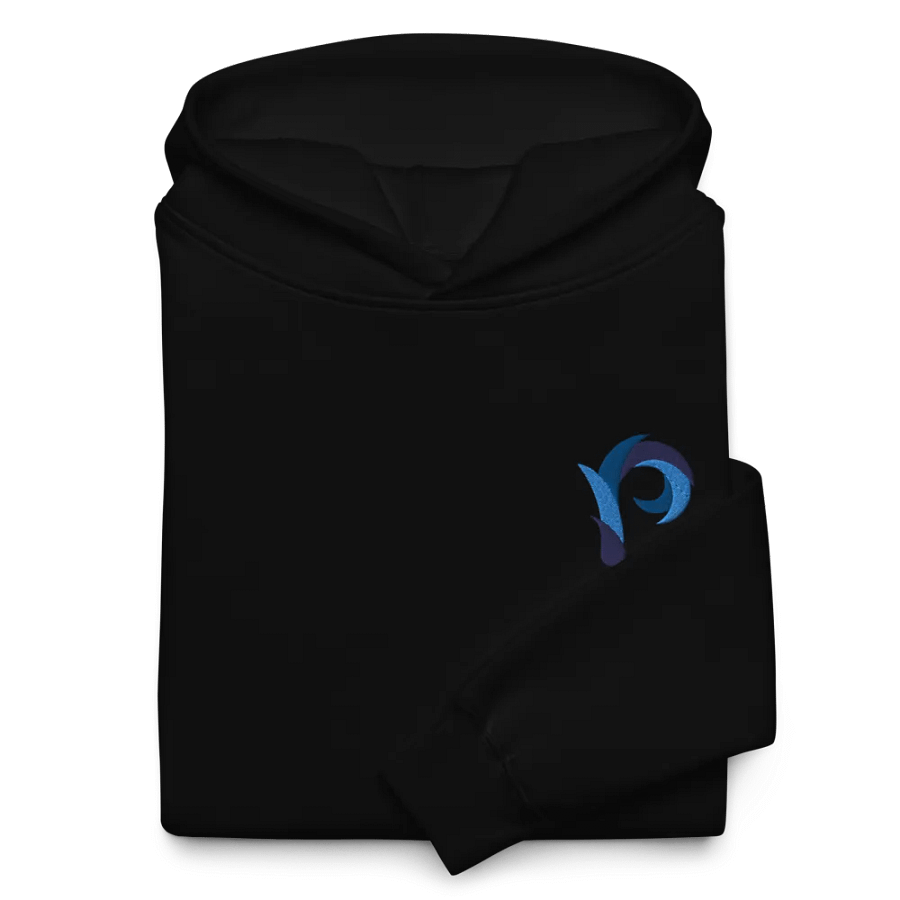 PP Hoodie - Regular Fit // Embroidered product image (20)