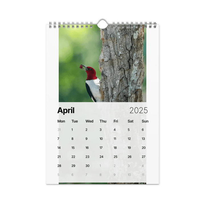 You need it. You might as well buy this one Calendar product image (1)