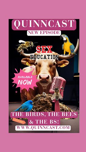 Join QuinnCast to get down and dirty as we discuss all about The Birds, The Bees, and The Bullshit! Sex Education has never b...