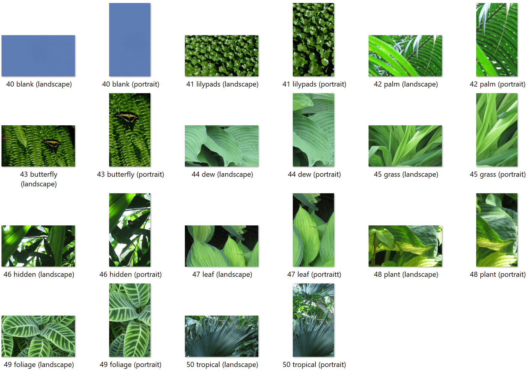 The Styrax Art Pack product image (5)