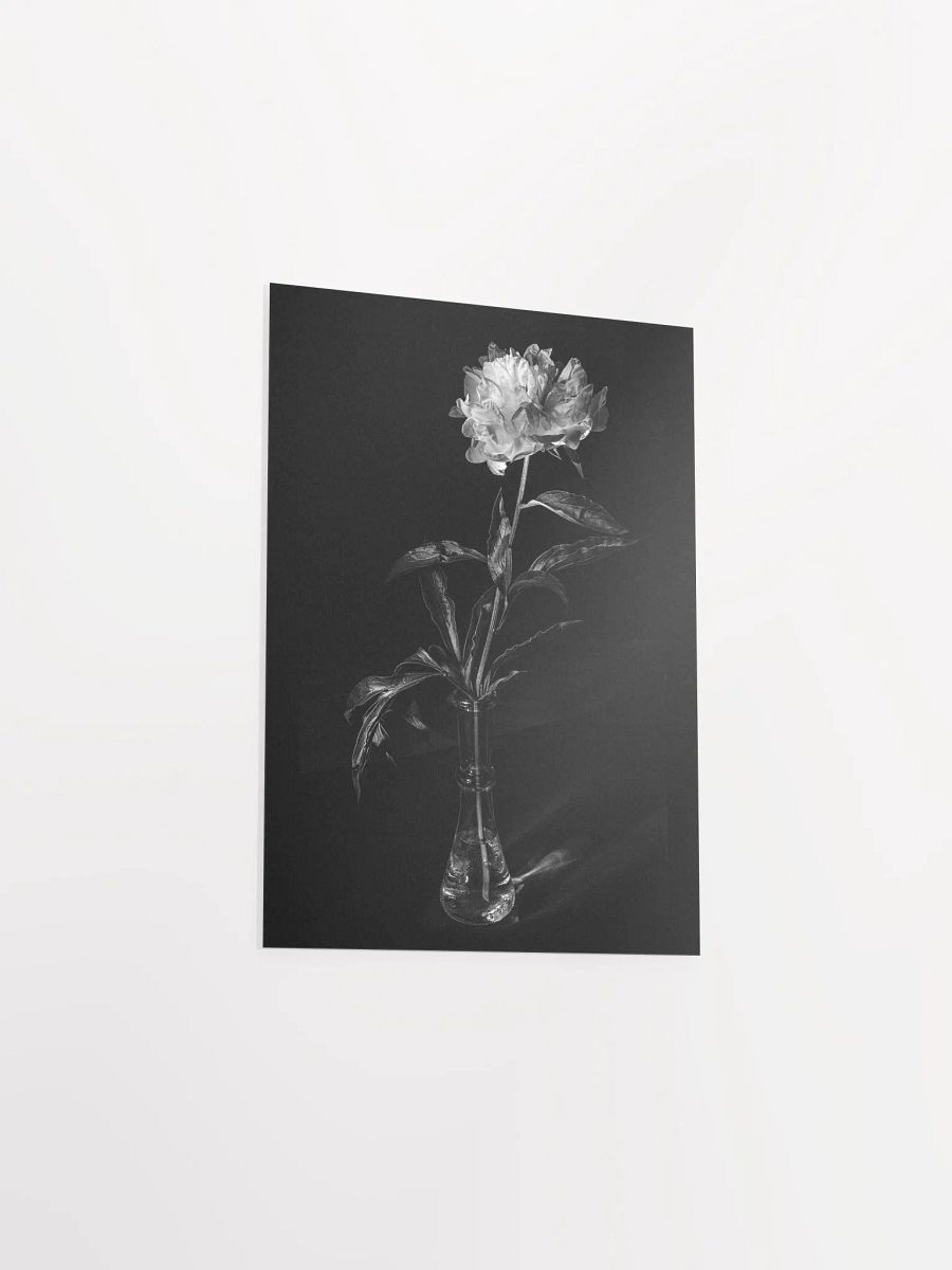 Peony in the Dark - Print product image (4)