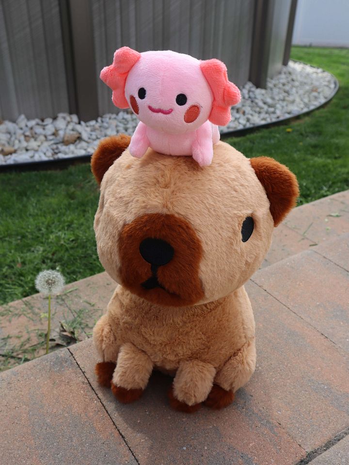 Capybara & Axolotl Plushie (PRE ORDER) product image (1)