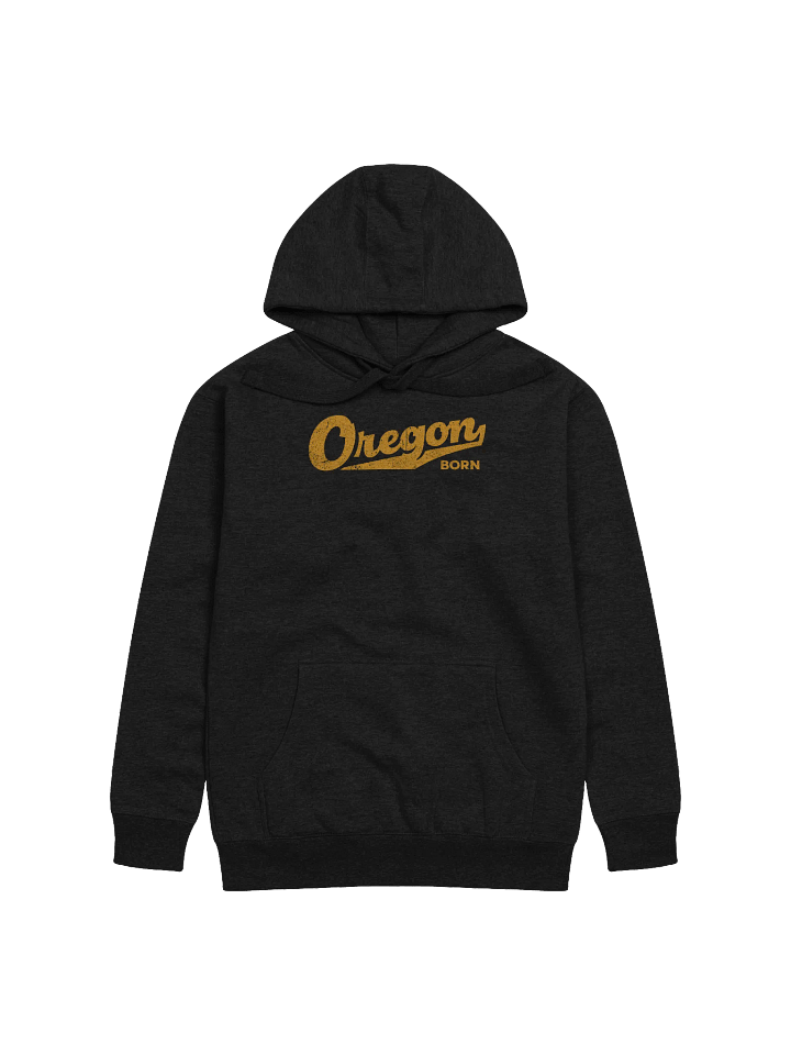 Oregon Born with Swash Hoodie product image (1)