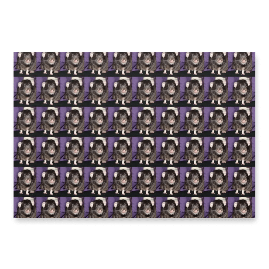 rat photos wrapping paper x 3 product image (7)