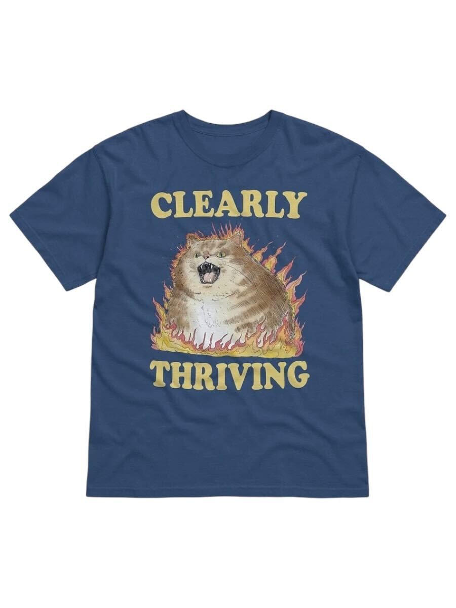 Clearly Thriving Heavyweight Tee (BB x CC) product image (1)