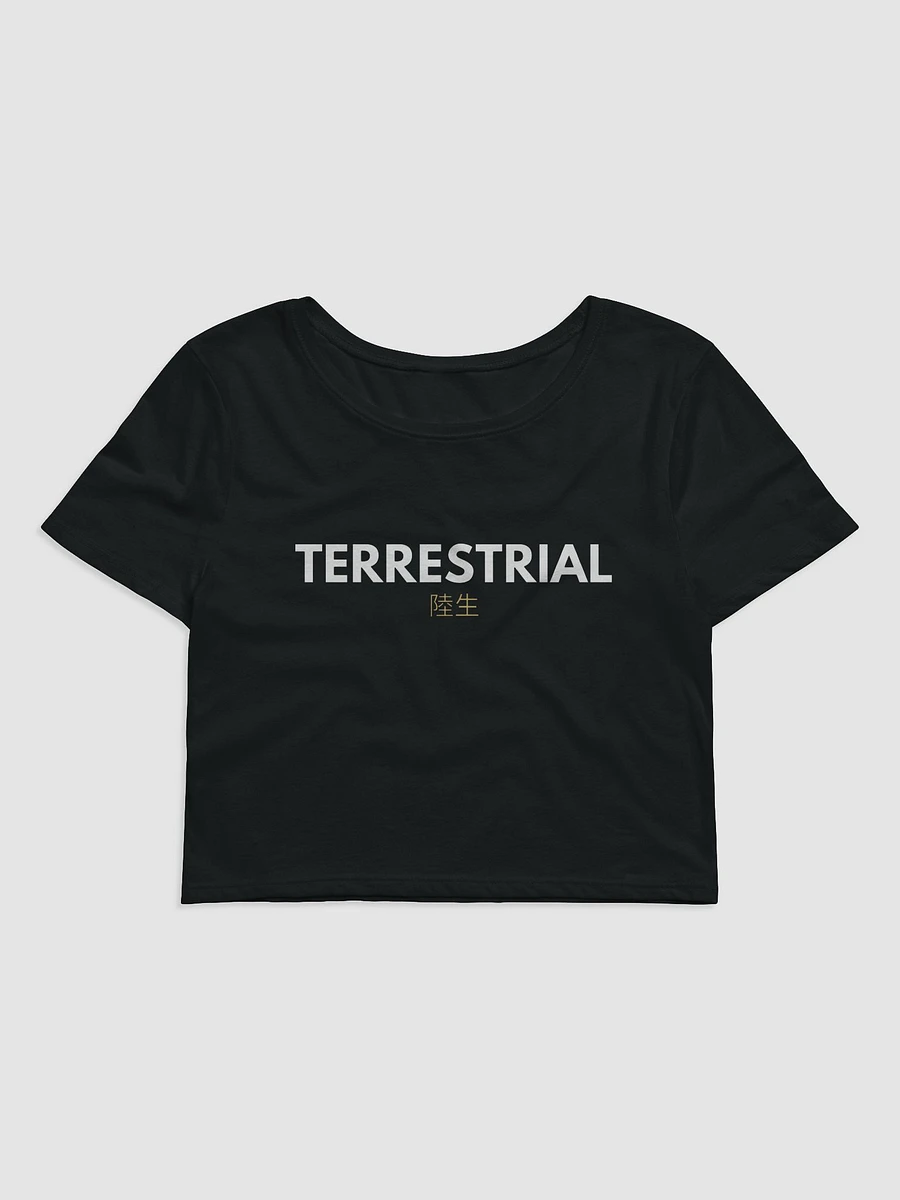 Terrestrial Logo Crop Tee product image (1)