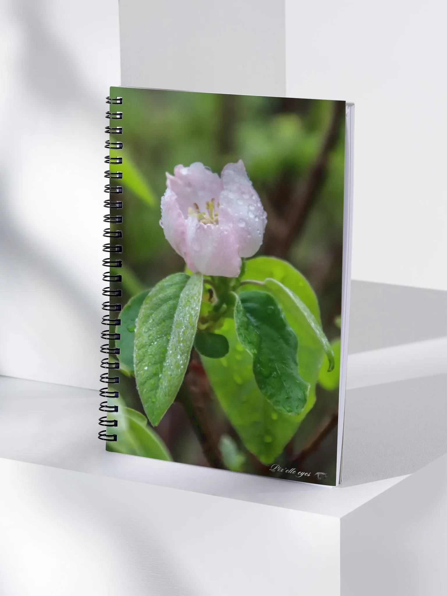 📘 Notebook Collection PURE – Jardin sous la pluie – Fleur de cognassier product image (4)